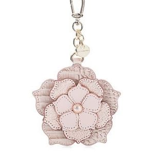 ISO ANY BRAHMIN MAGNOLIA